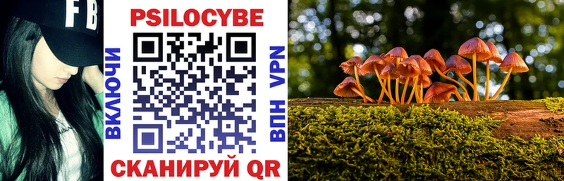 Галлюциногенные грибы Psilocybe  kraken tor  Волгоград  закладка 