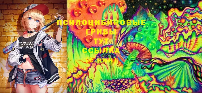 Псилоцибиновые грибы GOLDEN TEACHER  OMG ССЫЛКА  Волгоград 