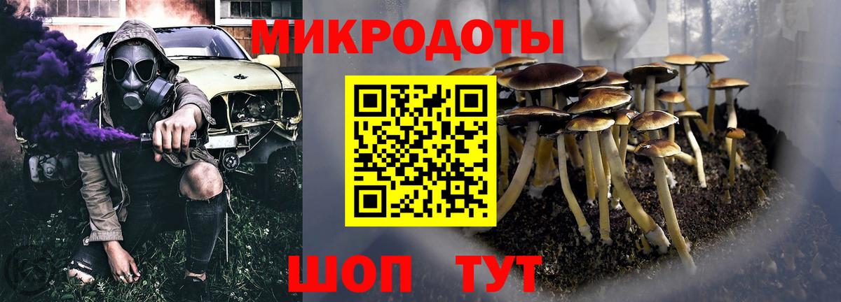 Галлюциногенные грибы Magic Shrooms  Волгоград 
